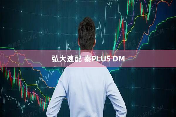 弘大速配 秦PLUS DM