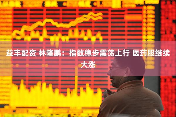 益丰配资 林隆鹏：指数稳步震荡上行 医药股继续大涨