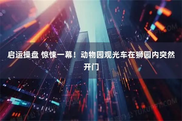 启运操盘 惊悚一幕！动物园观光车在狮园内突然开门